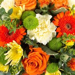 Florist's Choice viberant