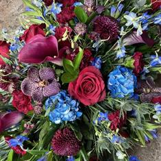 Claret and blue spray