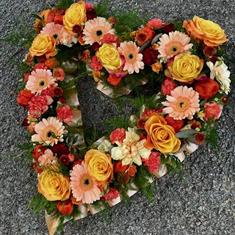 Autumnal open heart