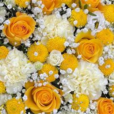 Lemon yellow loose heart