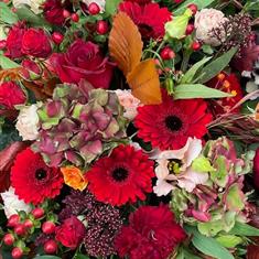 Red russet double ended