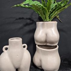 Body plant pots