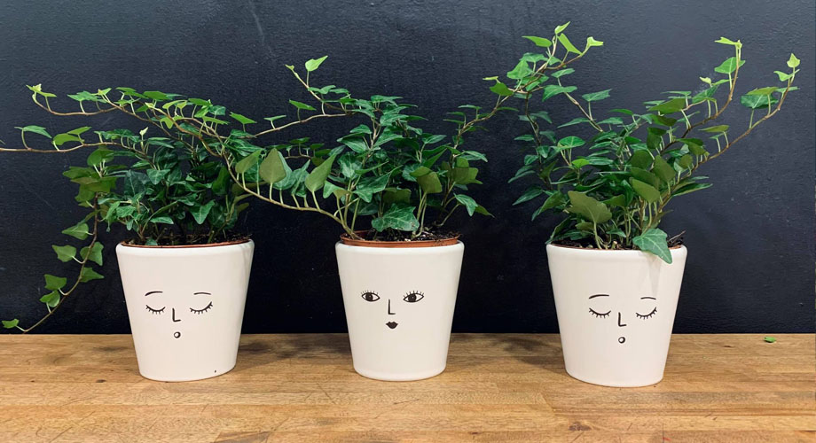 Dillys Bespoke Florist