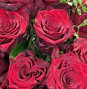 12 Stocks Red Roses 12 red roses